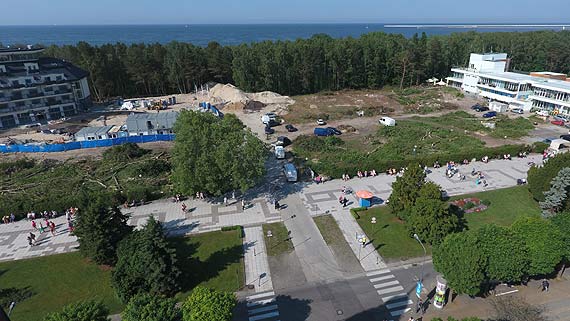 Czytelnik: Szok! Na promenadzie wycili w pie prawie 200 drzew! 