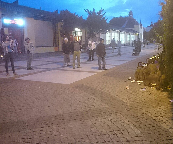 Dziki na wieczornej kolacji na promenadzie!