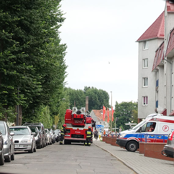 Wszystkie suby na Wilkw Morskich! ona mylaa, e m zasab. Tymczasem mczyzna smacznie spa… 