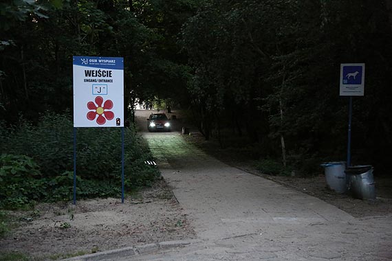 Przeraenie przy wejciu na pla. Rozszalay dzik zaatakowa psa
