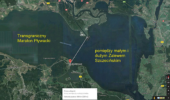 Michał Stefaniak weźmie udział w maratonie pływackim! Przyjdź kibicować pływakowi!