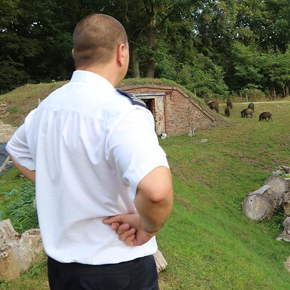 Dziki najpierw wdary si do Fortu Anioa, a pniej okupoway go! Fort odbili dopiero stranicy miejscy. Zobacz film!