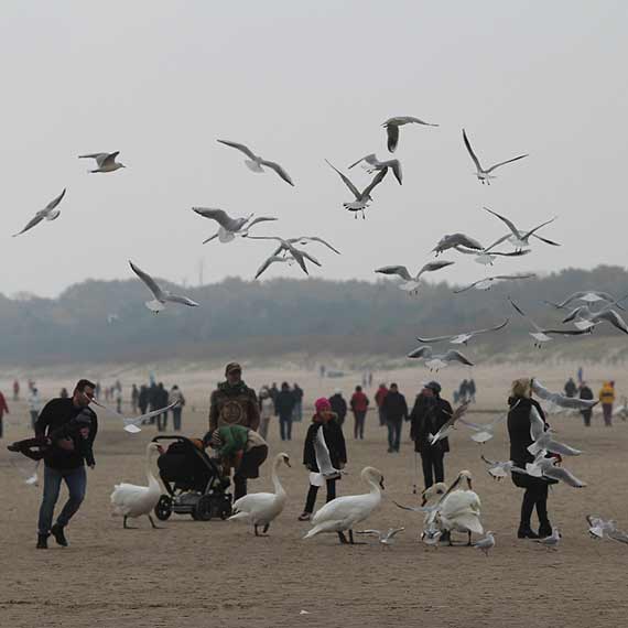Mimo chłodu promenada i plaża największymi atrakcjami niedzielnego Świnoujścia