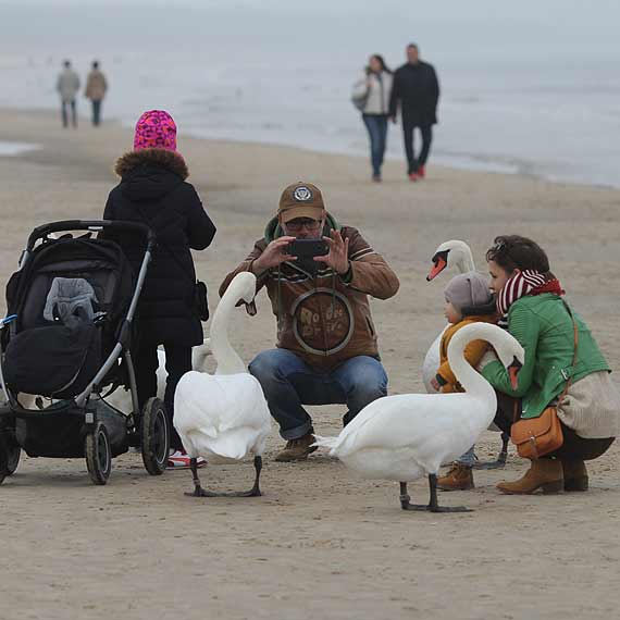 Mimo chłodu promenada i plaża największymi atrakcjami niedzielnego Świnoujścia