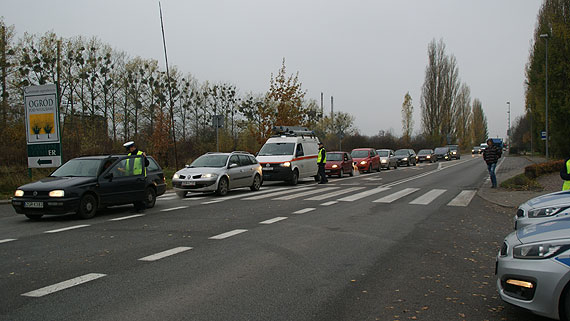 Trzeźwo i odblaskowo w Szczecinie