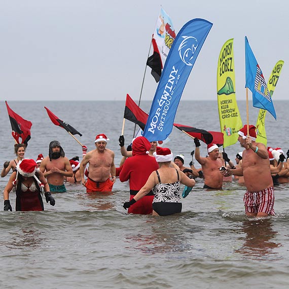 Trzecia inwazja morsujących Mikołajów podniosła temperaturę Bałtyku!