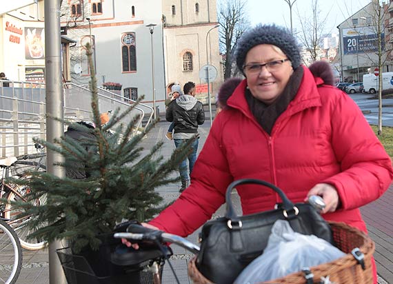W pogoni za świętami czyli kup pan choinkę!