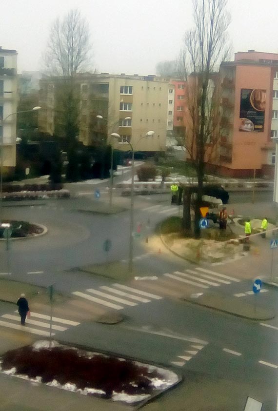 Czytelnik: Mam nadzieje że pożegnamy Pana Żmurkiewicza za te dziesiątki wyciętych drzew które dostarczały nam tlenu