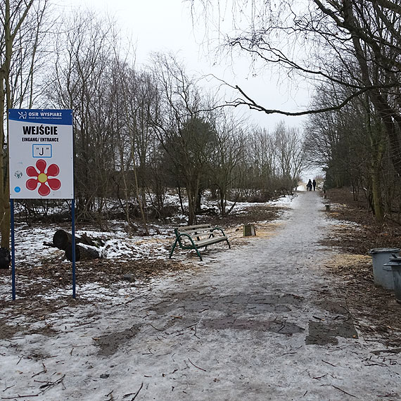 Przy Uzdrowiskowej 76 drzew poszo pod pi. Bd poszerza wejcie na pla