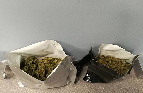 Areszt za posiadanie ponad 1300 gramw marihuany