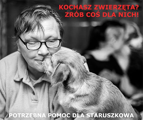 winoujcianka prosi o materiay budowlane, aby pomc w remoncie domu spokojnej staroci dla niechcianych psiakw!