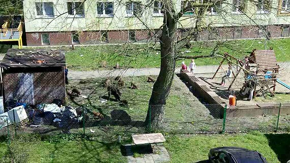 Integracyjny plac zabaw - dziki, dzieci...A gdzie rodzice?