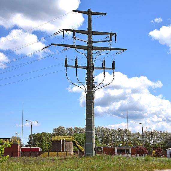 Zapomniany słup elektryczny na rozlewiskach Starej Świny