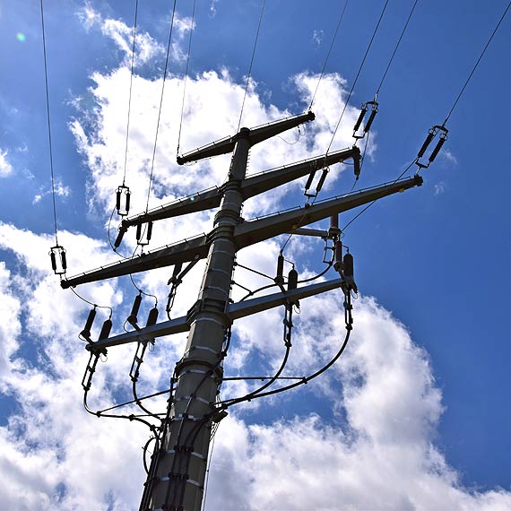 Zapomniany słup elektryczny na rozlewiskach Starej Świny