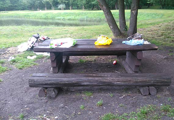 Pojedli, popili, nie dogasili ogniska i poszli. O kulturze grillujących