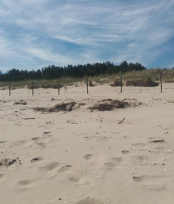 Czytelniczka: Od zimowych sztormów nic się nie zmieniło. Dlaczego plaża przy granicy jest brudna?