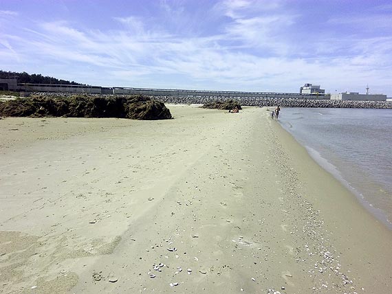 Plaża na Warszowie wita turystów hałdami śmieci i odrażającym odorem