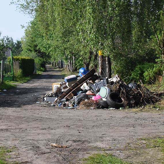 Wyrzucili i zapomnieli posprzątać? Dzikie wysypisko śmieci rośnie w oczach