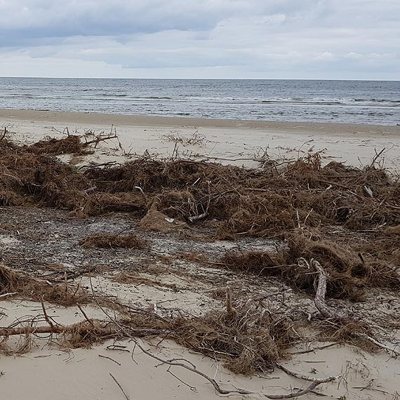 Nikt nie przyznaje się do brudnej plaży na Warszowie. Plaża niczyja?