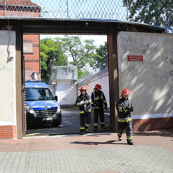 Młodej mewie znudziła się wolność? Wpadła na teren Aresztu Śledczego