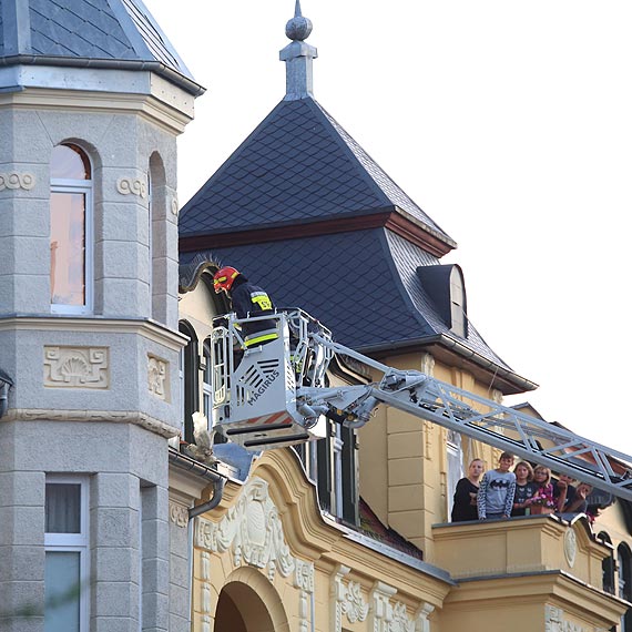 Młodej mewie znudziła się wolność? Wpadła na teren Aresztu Śledczego