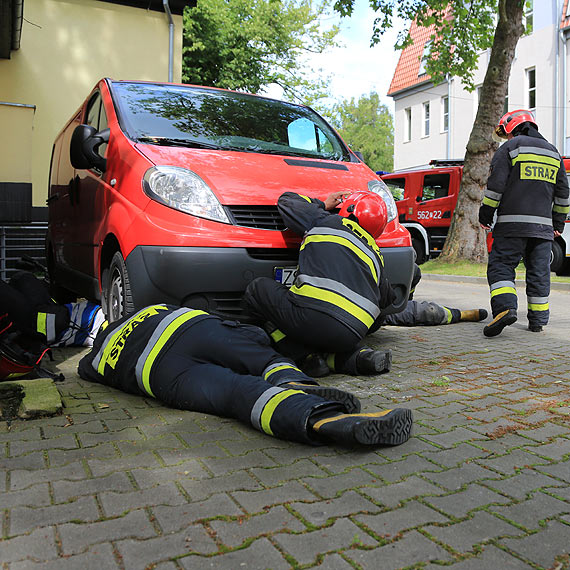 Kot utknął pod maską samochodu!