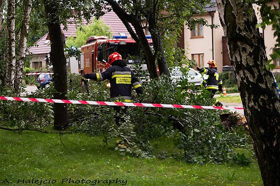 Silny wiatr i ulewa łamie drzewa i gałęzie! Strażacy interweniowali 12 razy!