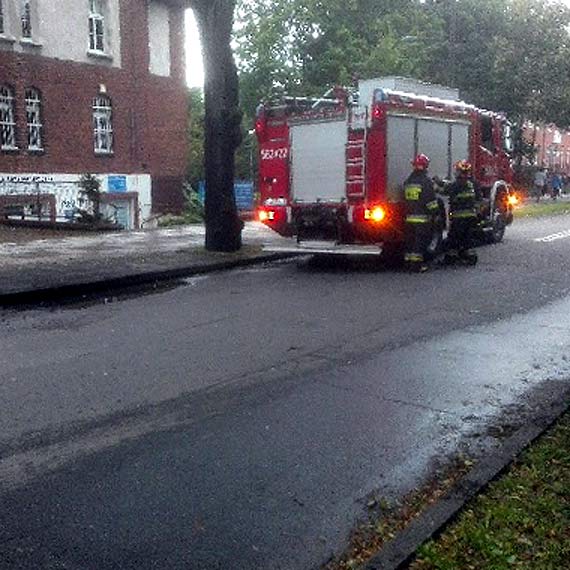 Osy zalęgły się w pobliżu urzędu! Strażacy dali im radę!