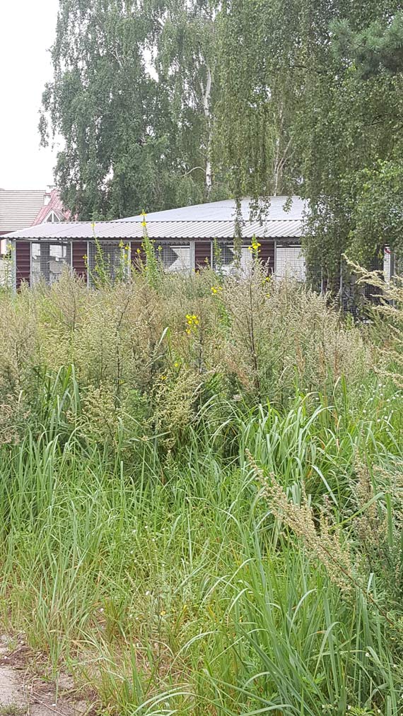 „Piękny” park na osiedlu Zachodnim - Czytelniczka pyta, kto o niego dba