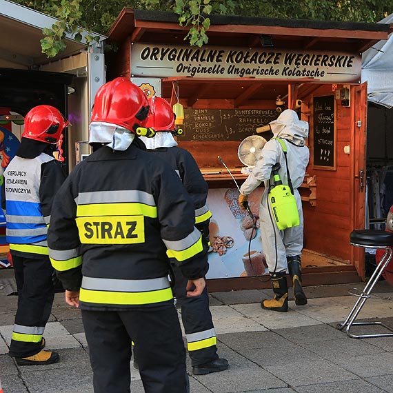 Atak os, pokąsane pracownice - do akcji przystąpili niezawodni strażacy