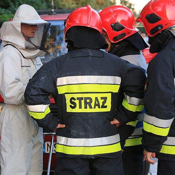 Atak os, pokąsane pracownice - do akcji przystąpili niezawodni strażacy