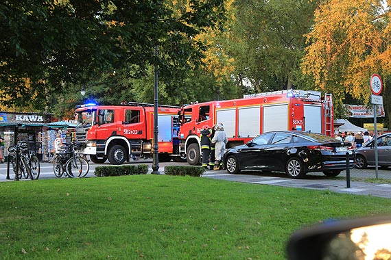 Atak os, pokąsane pracownice - do akcji przystąpili niezawodni strażacy