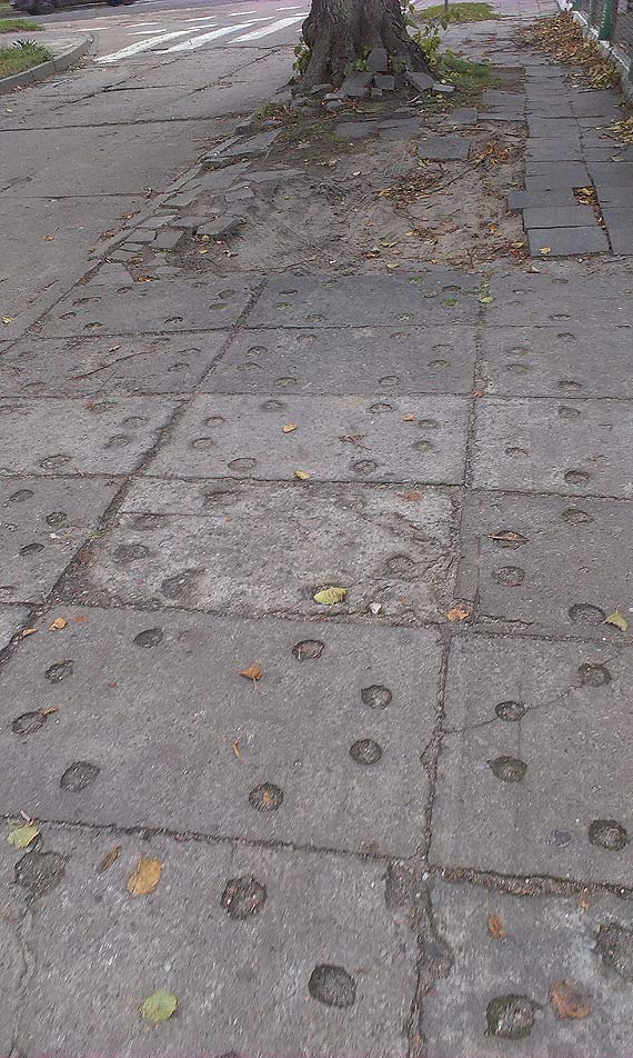 Czytelnik zawstydzi urzdnikw i sam zacz ukada pyty chodnikowe na Grodzkiej