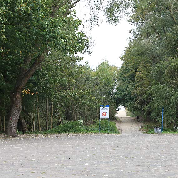 W potrzebie pozostaje tylko las? - Mieszkanka o braku publicznych toalet 