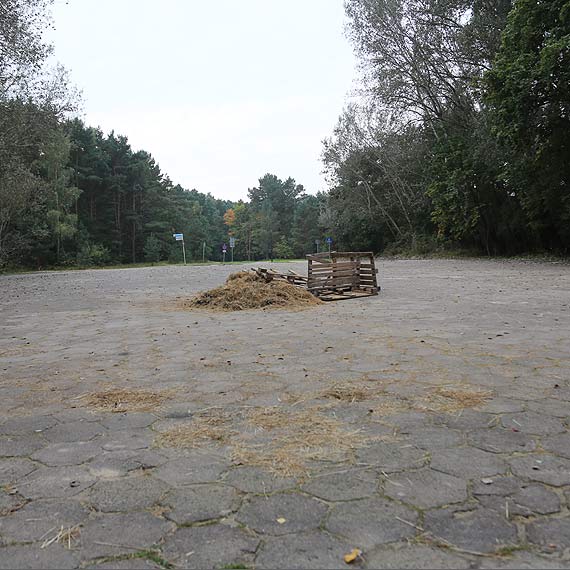 Czytelnik: Na Uzdrowiskowej stowka dla koni. Siano jest, brakuje tylko zwierzt...