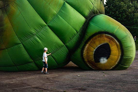 Dzisiaj w parku wielka żaba - balon!