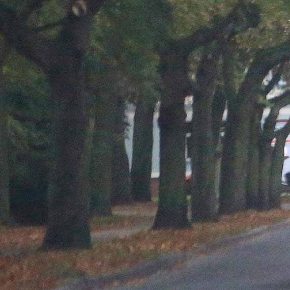 Brutalny napad tuż obok Komendy Miejskiej Policji! Złodziej okradł i poturbował starszą kobietę!