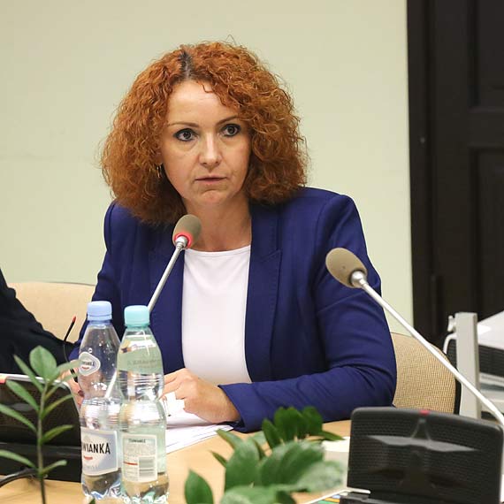 Rada Miasta zdecydowanie przeciw przeładunkowi siarki