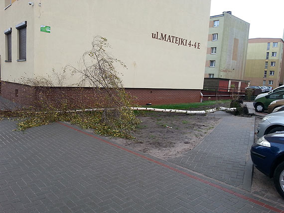 Ofiara wiatru czy nieudolnej modernizacji chodnika?