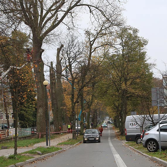 6 topoli idzie pod pi. Miay zagraa bezpieczestwu