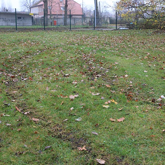 Funkcjonariusz stray granicznej odda kilka strzaw w kierunku odjedajcej Tesli! Przeczytaj, co mwi mieszkacy, ktrzy widzieli cae zajcie!