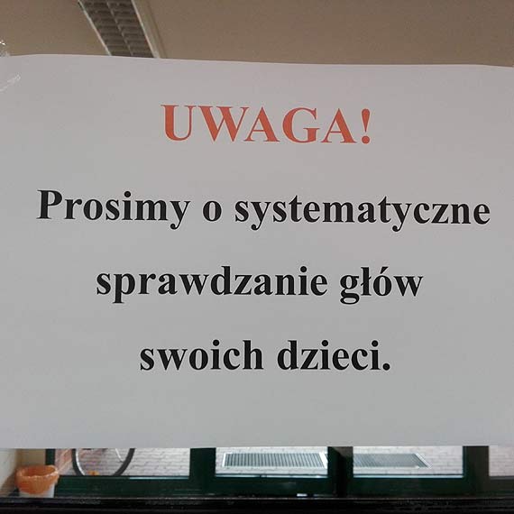 Epidemia wszawicy w szkołach? Mieszkaniec: W ciągu jednego miesiąca moje dziecko miało trzykrotnie wszy!