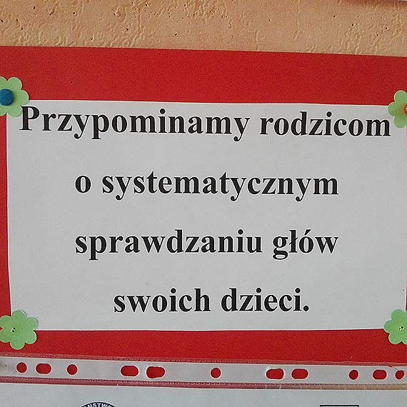 Epidemia wszawicy w szkołach? Mieszkaniec: W ciągu jednego miesiąca moje dziecko miało trzykrotnie wszy!