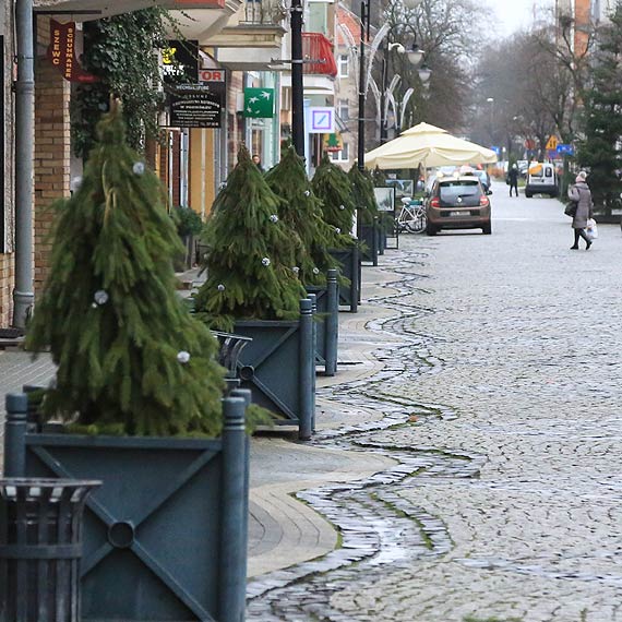 „Chochoły” zdobią deptak przy Bohaterów Września