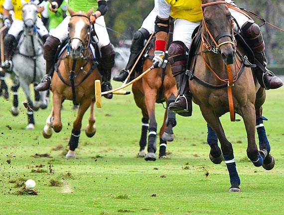 Wyjtkowe wydarzenie na play! We wrzeniu odbd si midzynarodowe zawody w grze w polo na play!