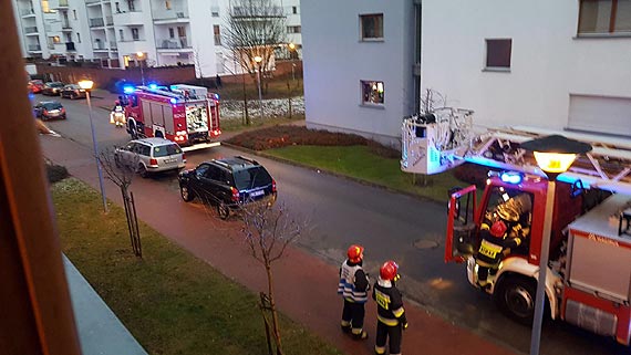 Mewa utkna w rynnie! Na pomoc ruszyli straacy