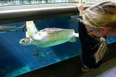 Oceanarium w Stralsundzie – morze w piguce