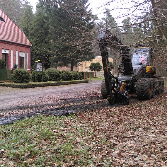Wielka wycinka drzew w „Worku”. Czytelnik: Co tam woda dla miasta, przyroda, czy jakie tam ptaszki. Kasa to si liczy