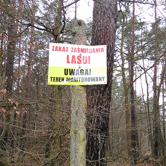 Lasy s pene mieci. Wci przybywaj nowe...