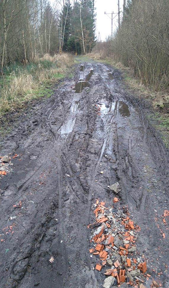 Nie wszystkim wystarczaj cieki rowerowe w naszym miecie. Dla jednych to raj, wedug innych enada